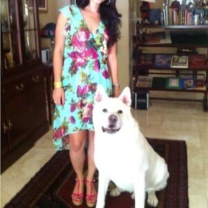 Romeo & Juliet Couture Floral Midi Dress